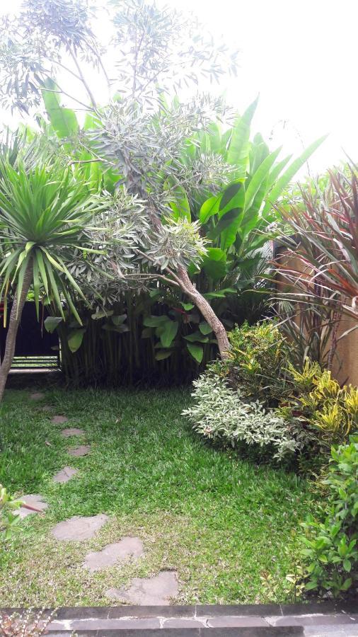 De Mangku Hotel Ubud Buitenkant foto